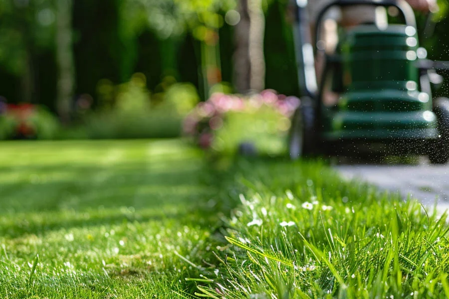 electric and battery lawn mowers